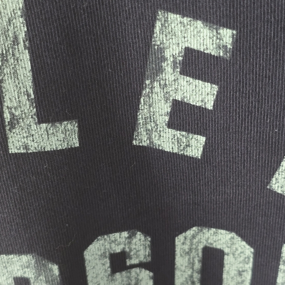 Harley Davidson Men's Staple 3/4 Raglan - Colorblocked - Shirt Medium - Picture 2 of 5